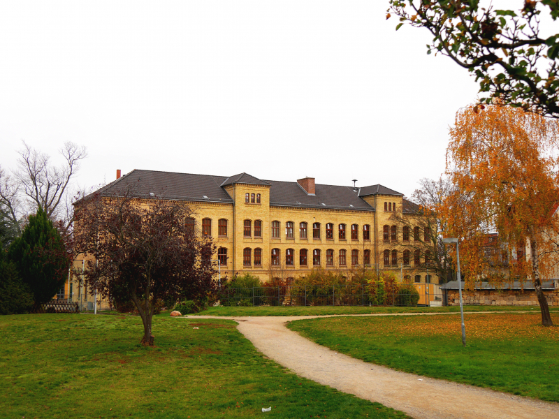 p1110596.jpg